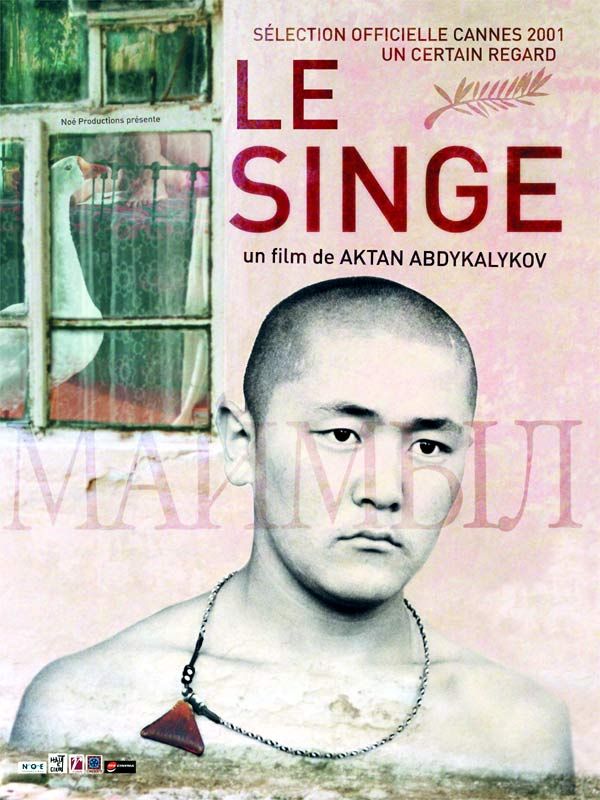 http://img5.allocine.fr/acmedia/medias/nmedia/00/02/39/13/affsinge.jpg