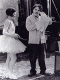 HD movie streaming Le Cirque HD movie streaming Le Cirque