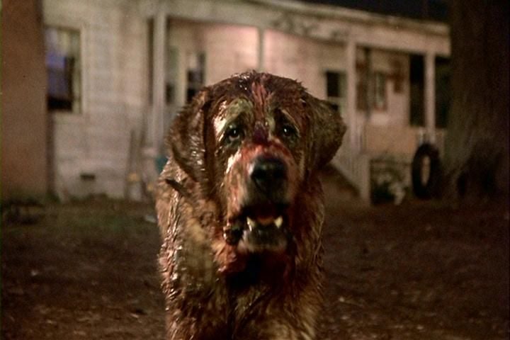 Race Du Chien Dans Le Film Prey Clown, bébé zombie, chien fou... Bienvenue dans le magasin d'horreur de